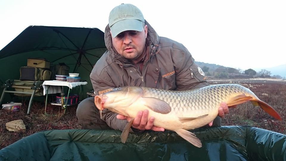 prima captura pe 2016 - 125529606412833460111846242687268731860225n.jpg